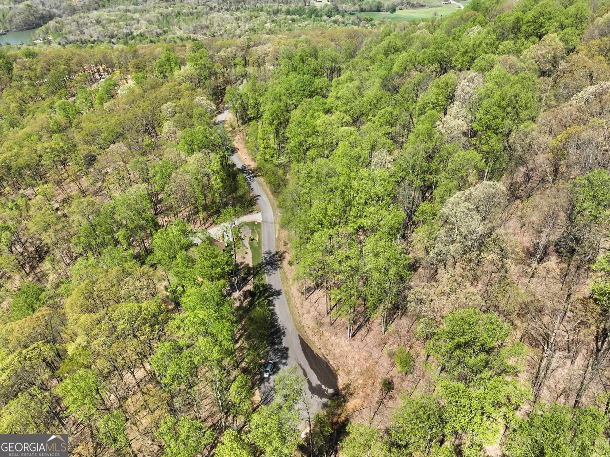 0 Stone Cliff Trace