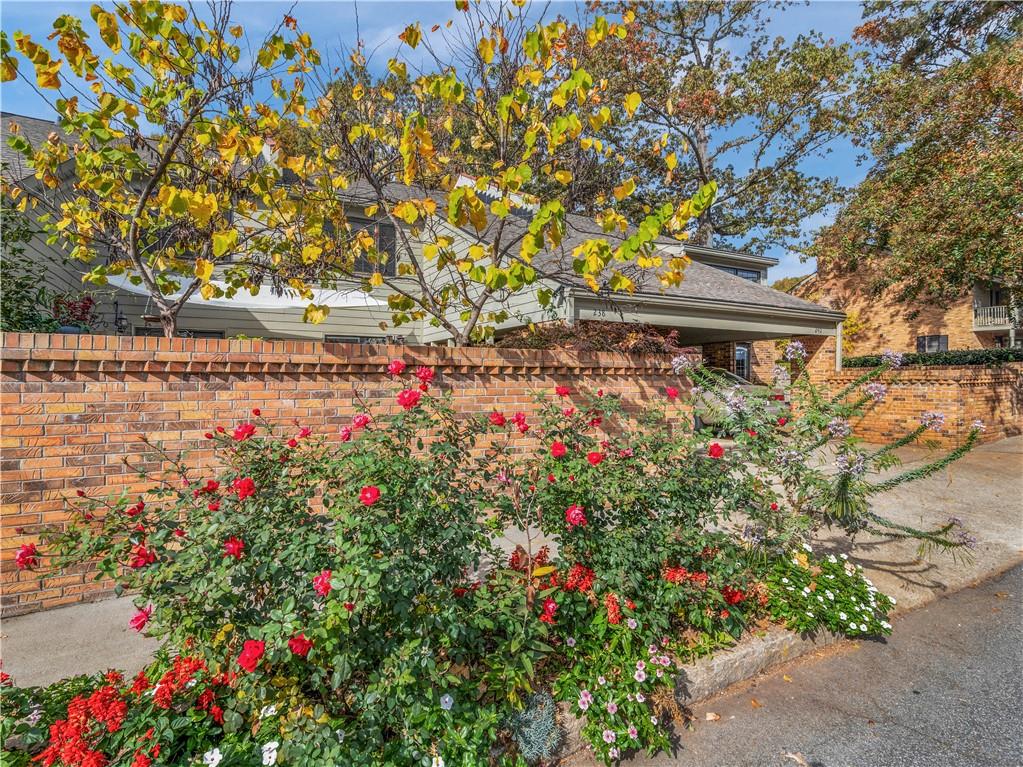 238 Adair Street