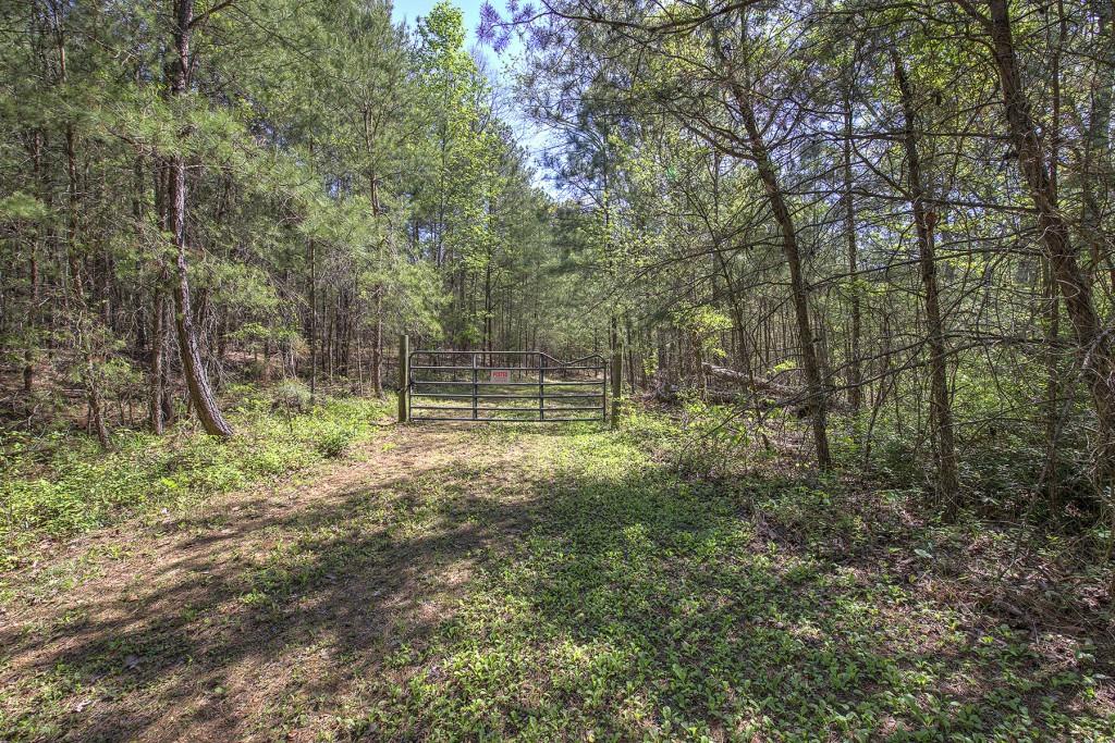 5 Johnson Mountain Road