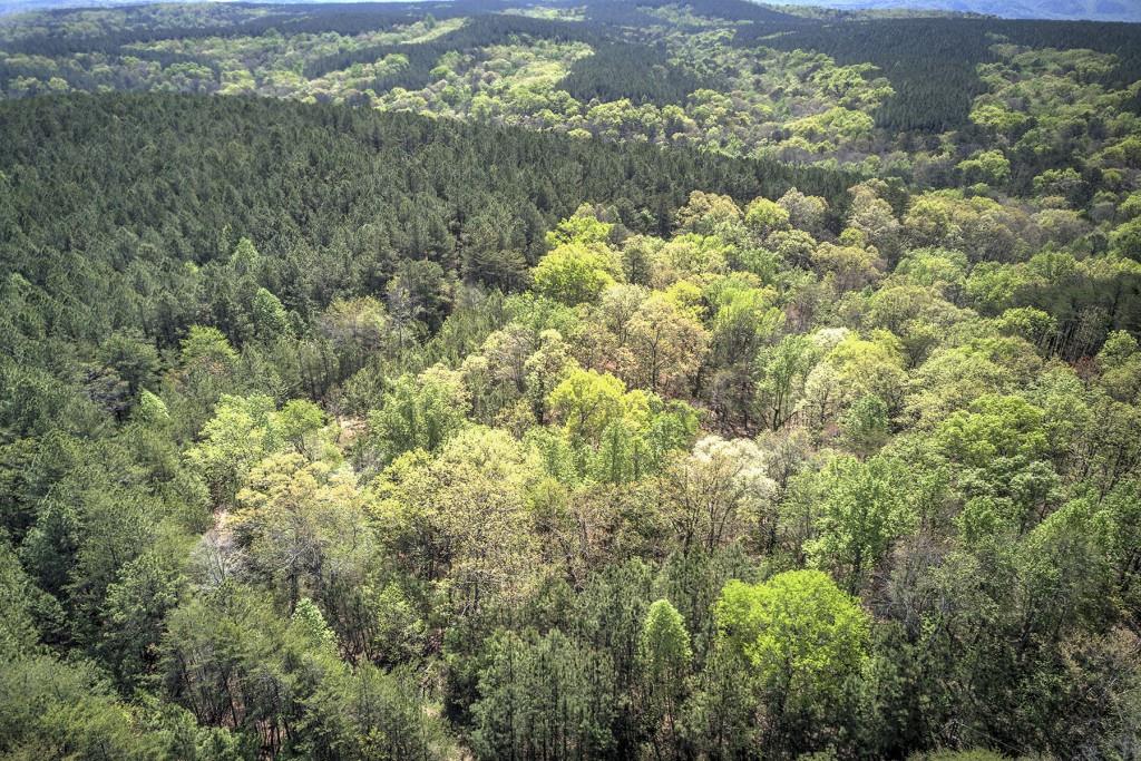 5 Johnson Mountain Road