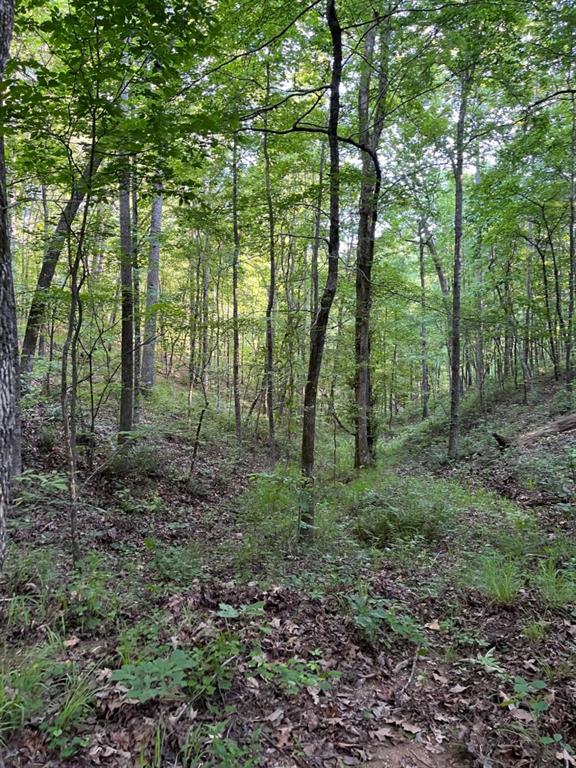 5 Johnson Mountain Road