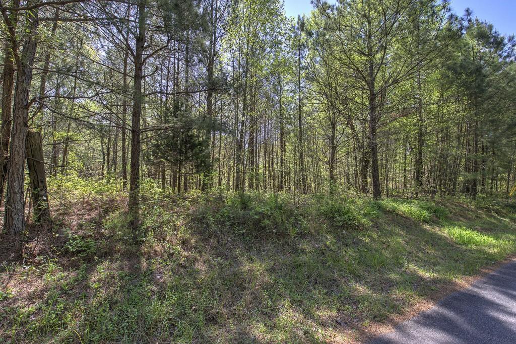 5 Johnson Mountain Road