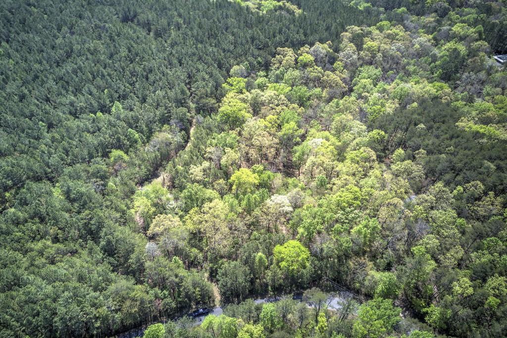 5 Johnson Mountain Road