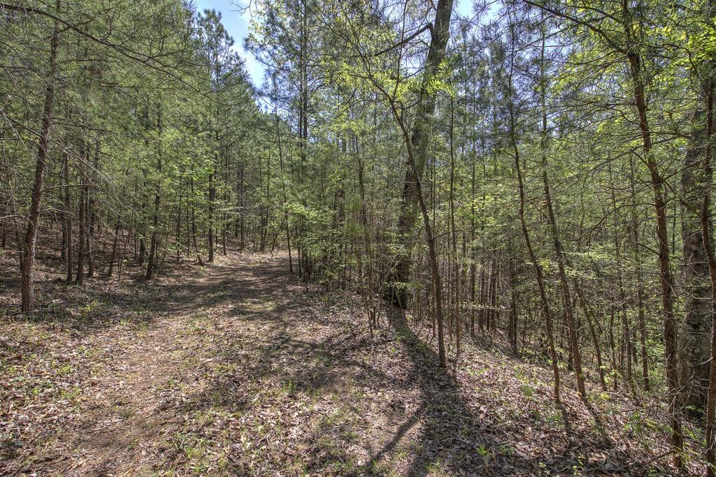 5 Johnson Mountain Road