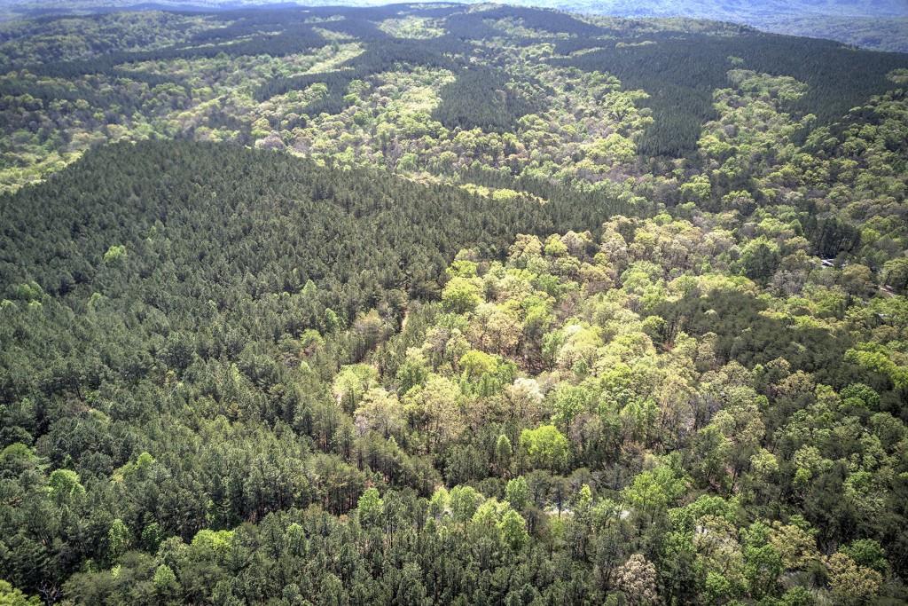 5 Johnson Mountain Road