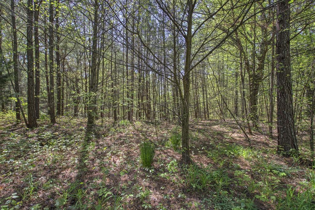 5 Johnson Mountain Road