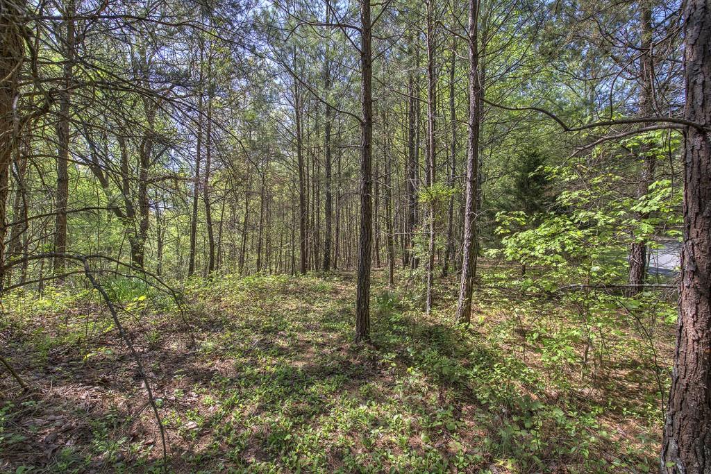 5 Johnson Mountain Road
