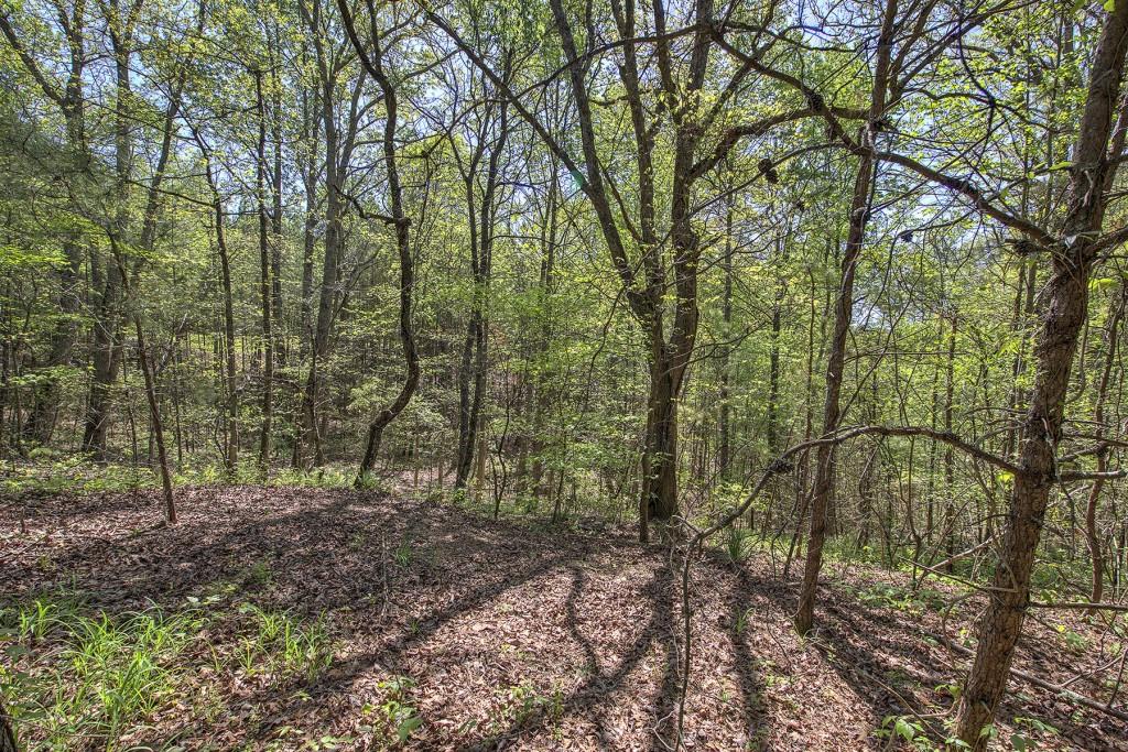 5 Johnson Mountain Road