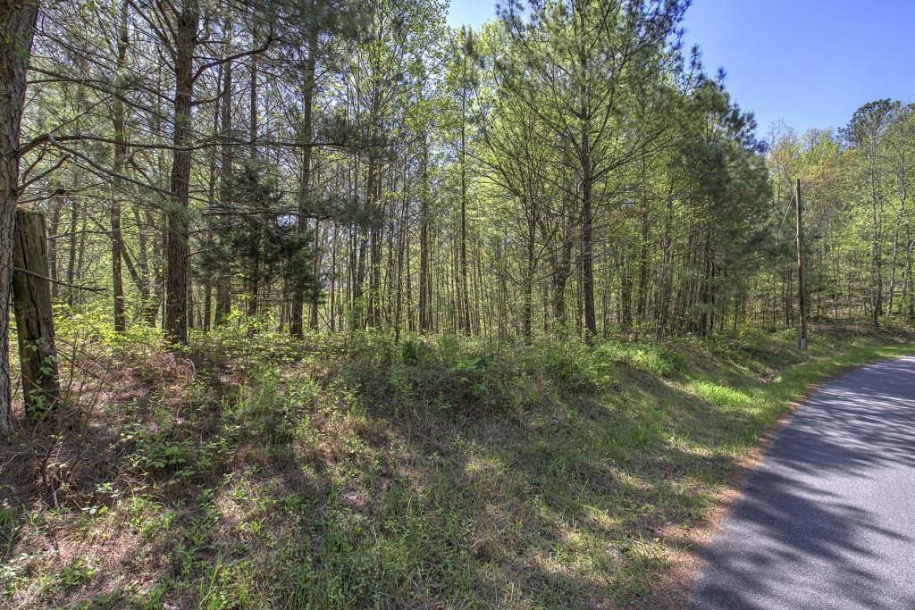 5 Johnson Mountain Road