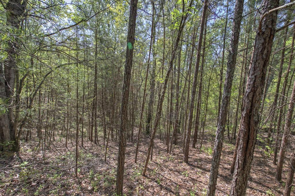5 Johnson Mountain Road