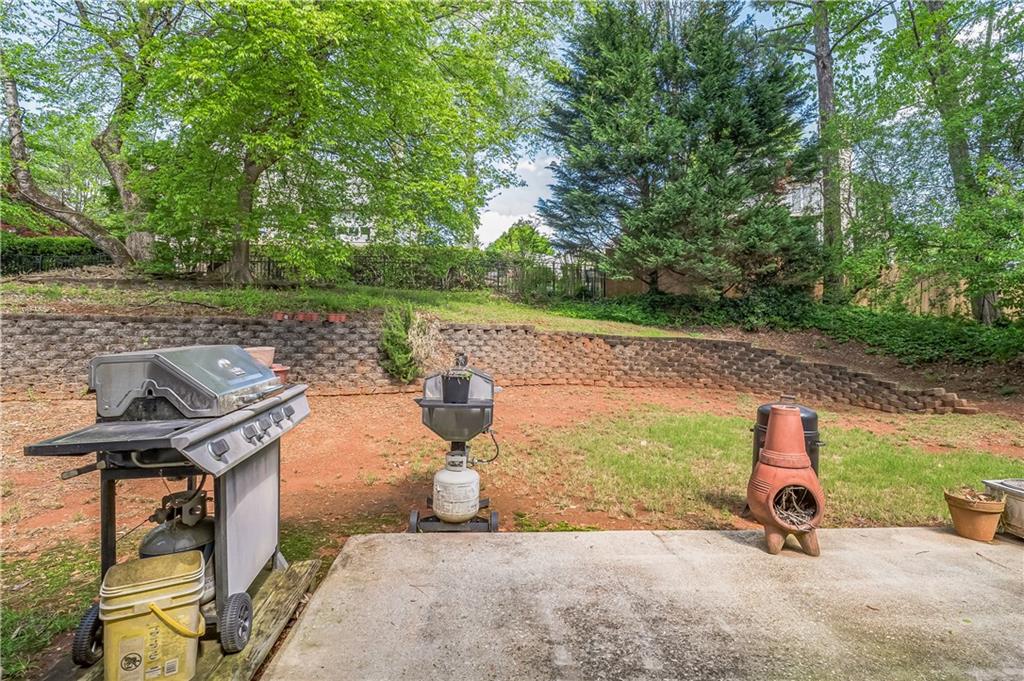 2602 White Aster Lane