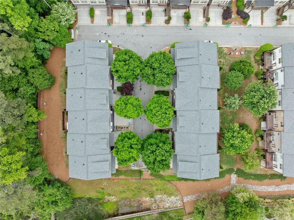 3231 Chutney Court