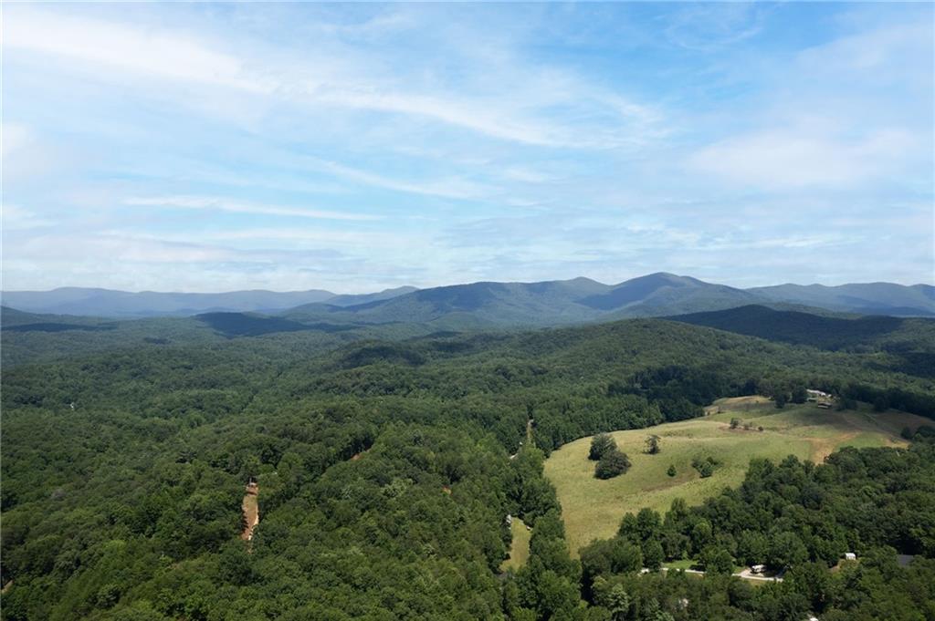 1896 Duffy Grizzle Road