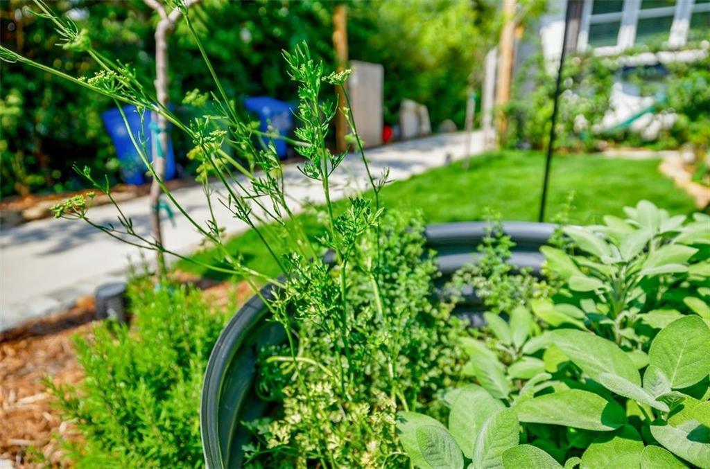 175 Douglas Street SE