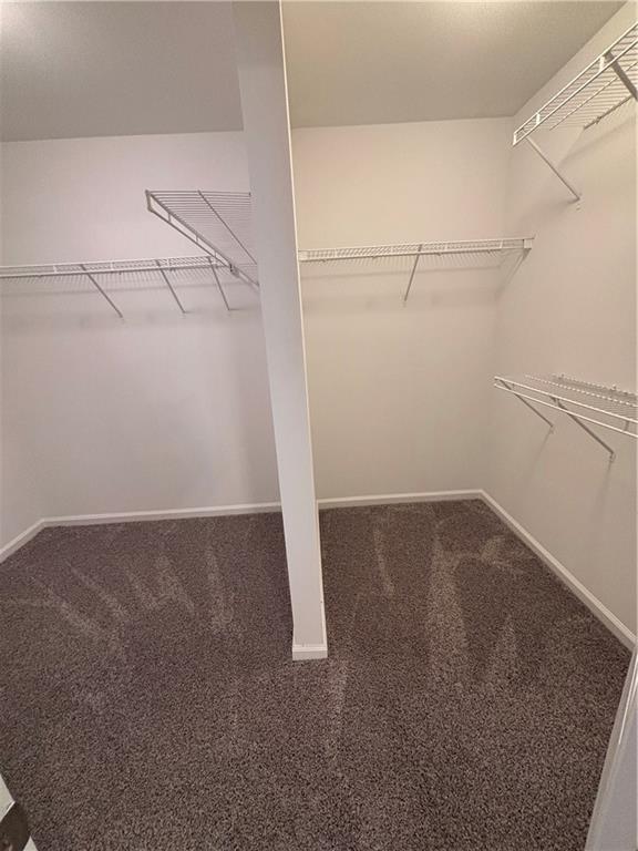 3567 York View Court