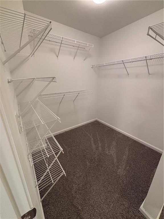 3567 York View Court