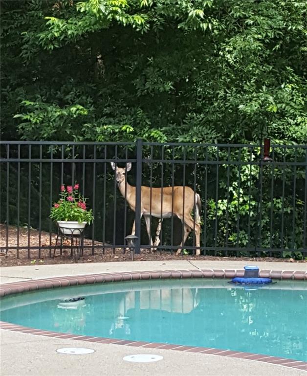 215 Settindown Court