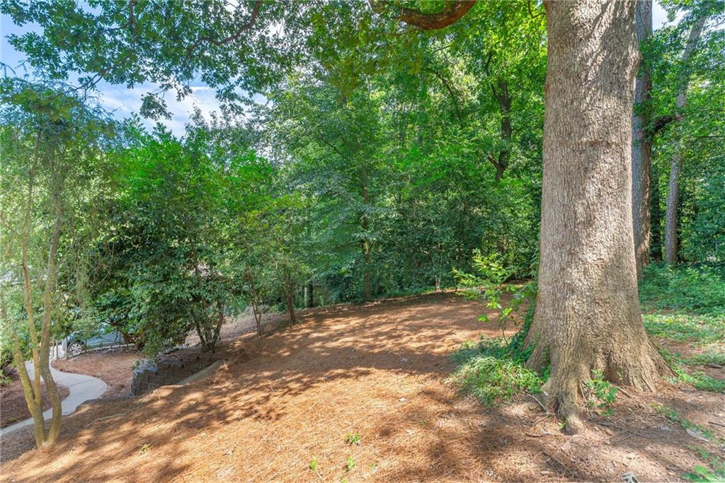 1447 Southland Vista Court NE