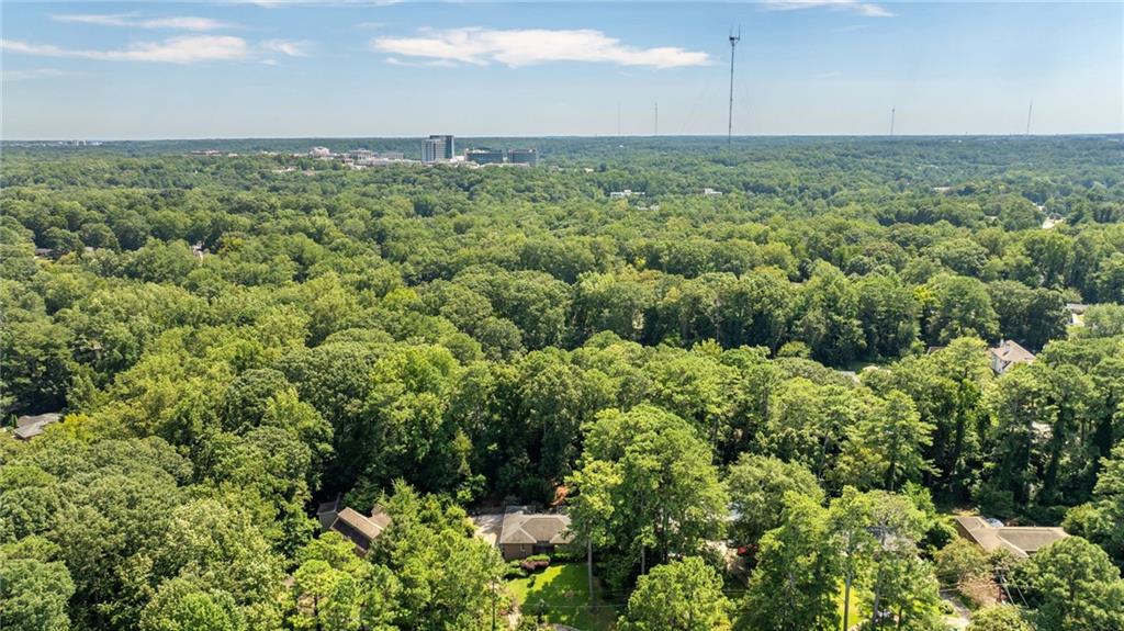 1447 Southland Vista Court NE