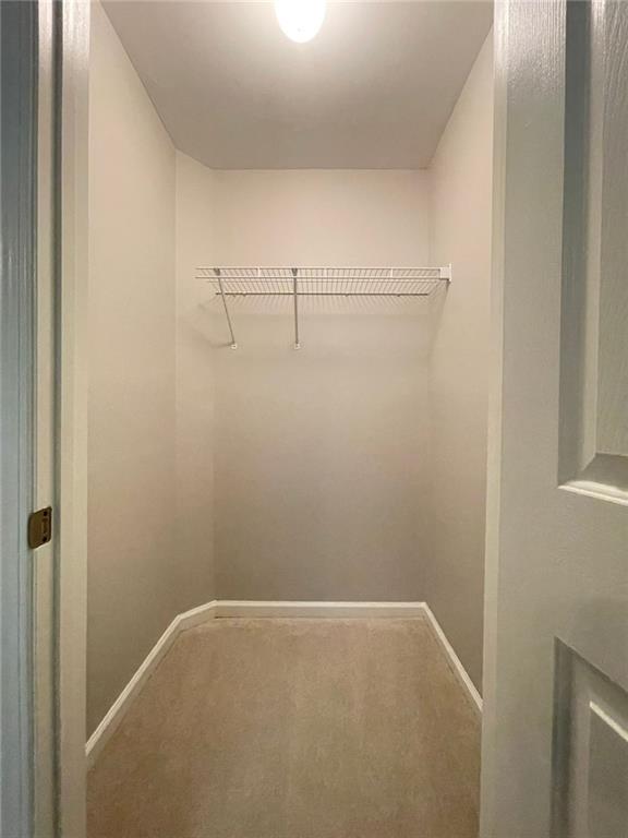 6000 Hunter Hall Court