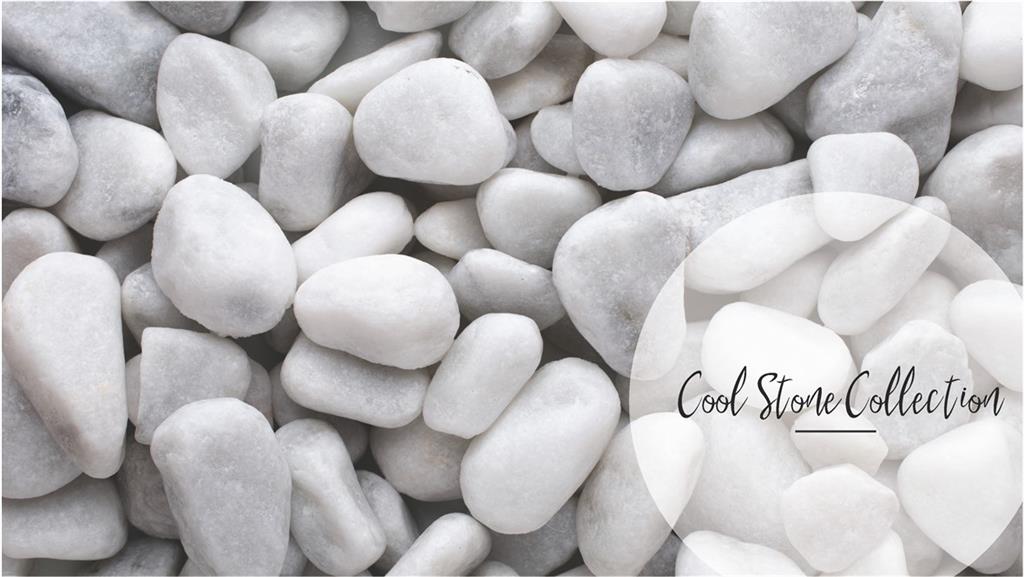 2882 Evanshire Avenue Unit 117