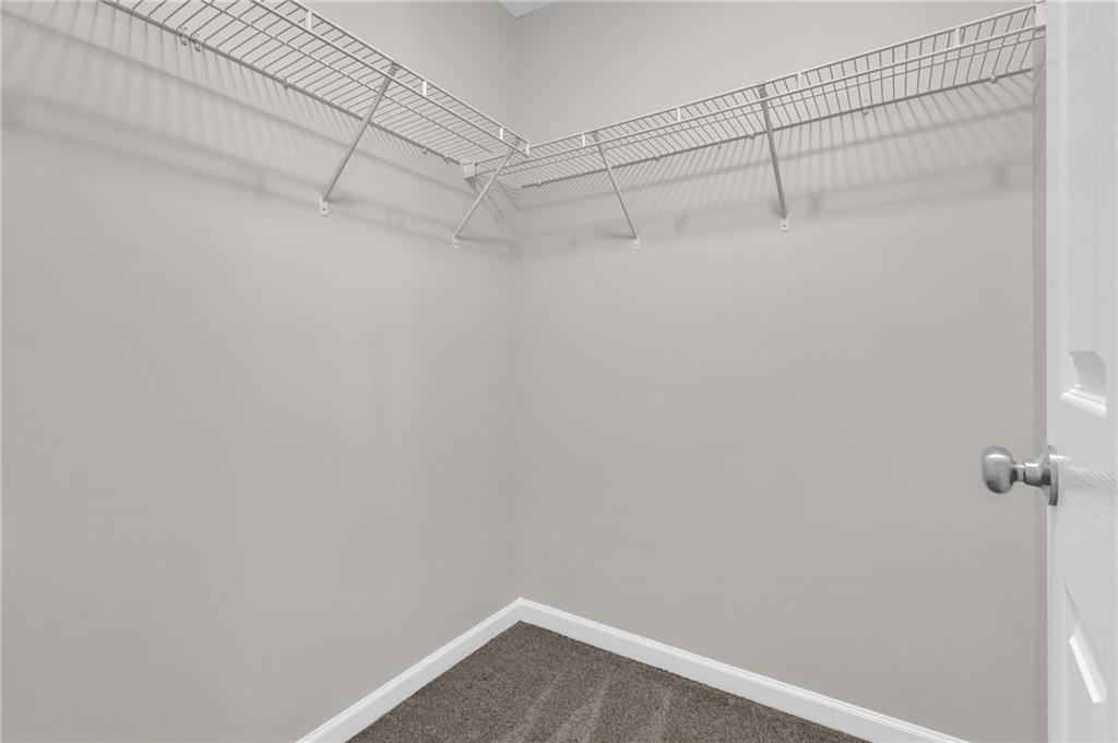 3816 Austin Park Lane