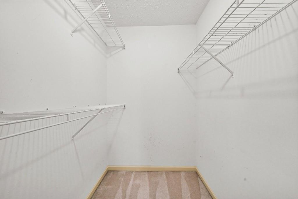 3685 Frankie Wade Lane