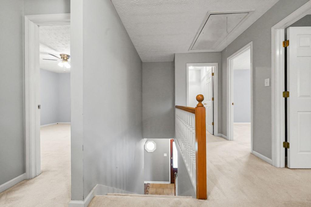 3685 Frankie Wade Lane