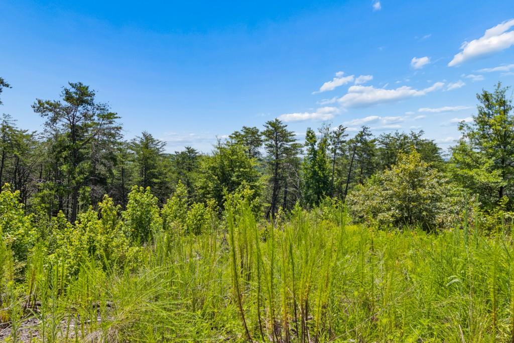2709 Jamerson Road