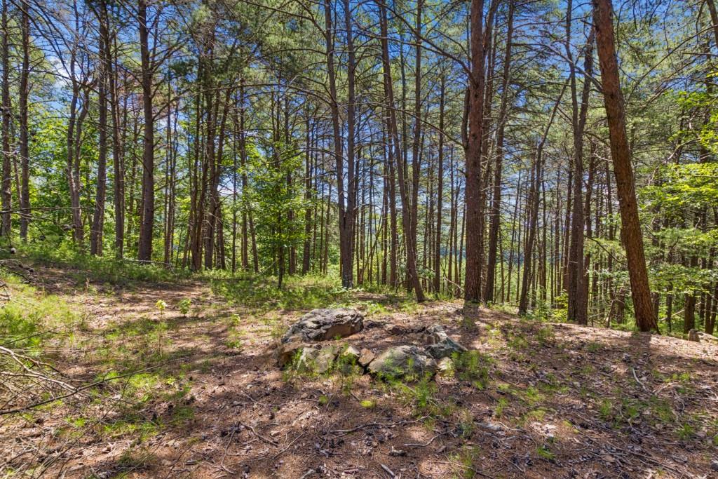 2709 Jamerson Road