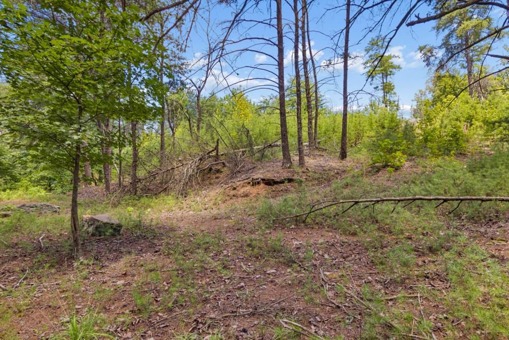 2709 Jamerson Road