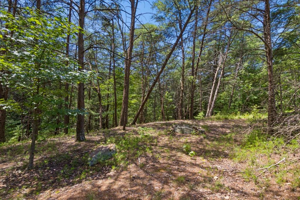 2709 Jamerson Road