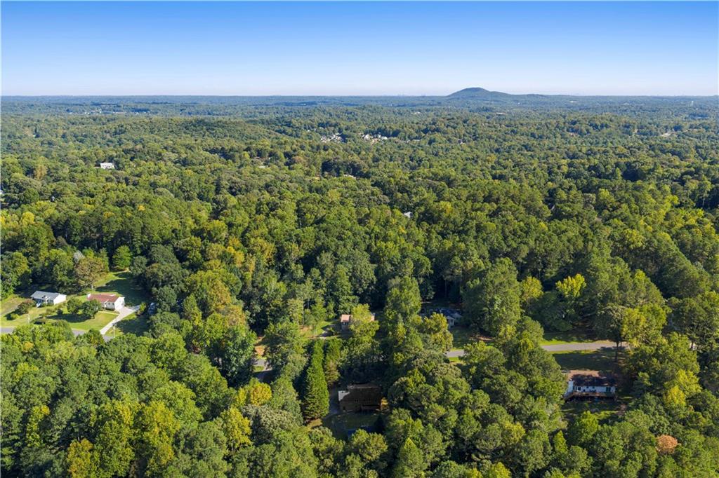 229 Holly Creek Way