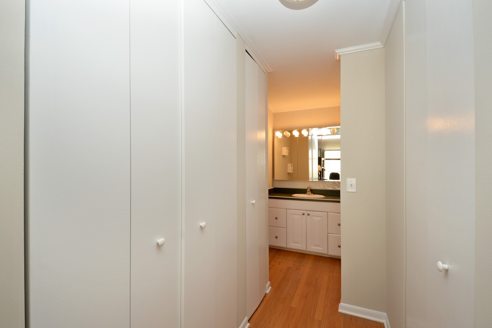 1430 N Astor Street Unit: 14C