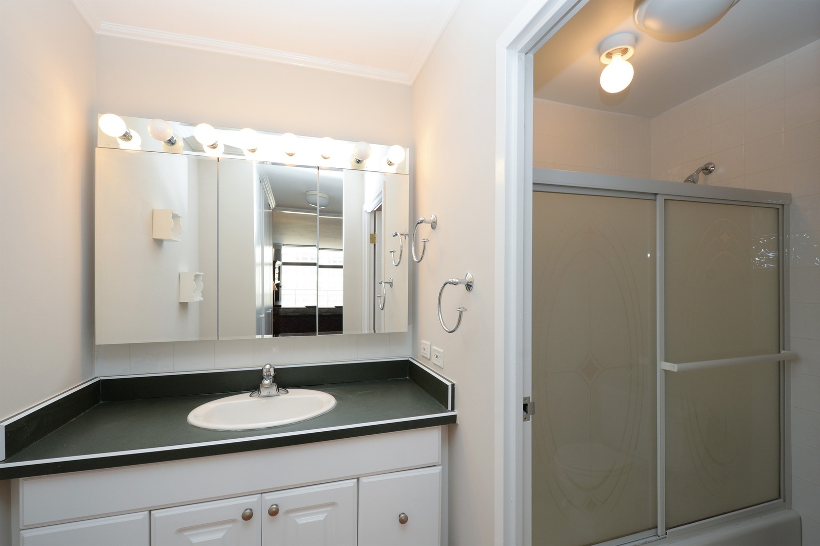 1430 N Astor Street Unit: 14C