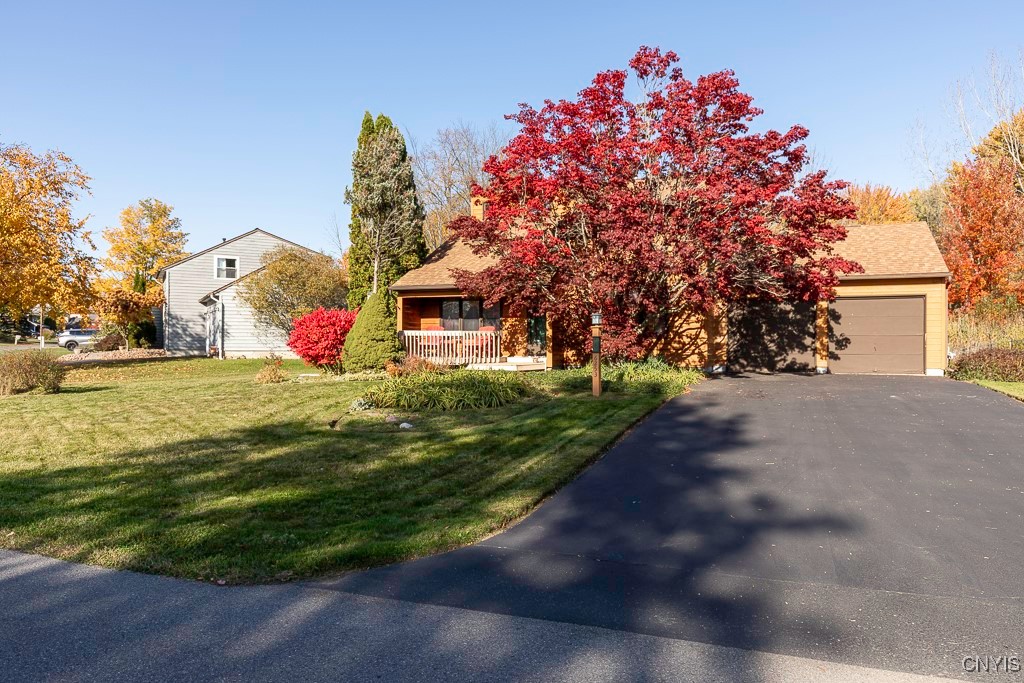 6253 Henryk Woods Road