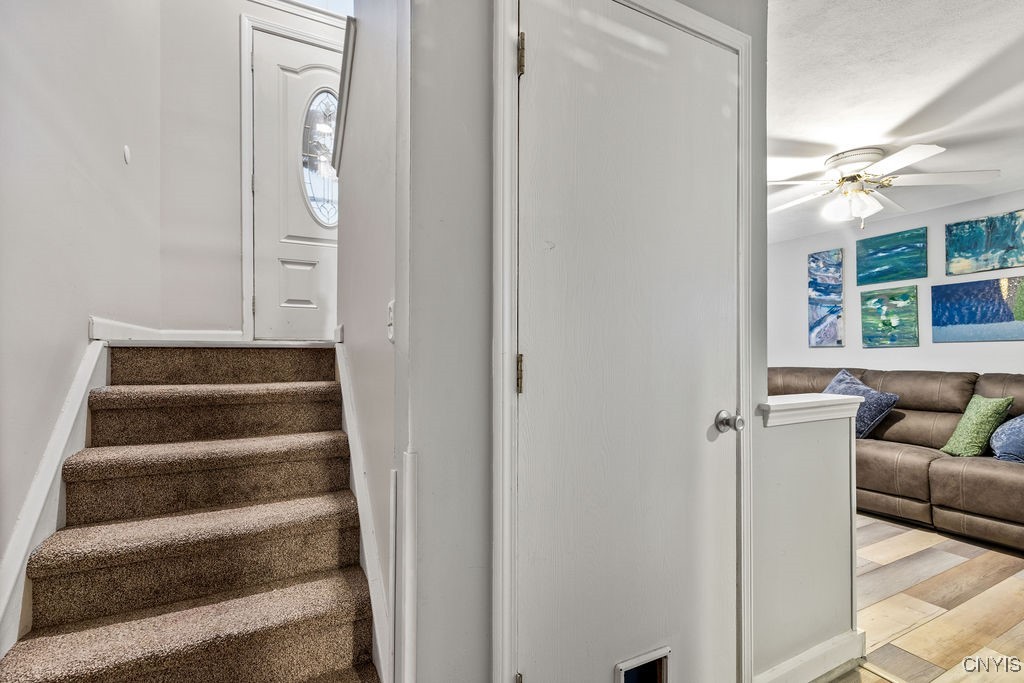 9418 Birch Tree Road