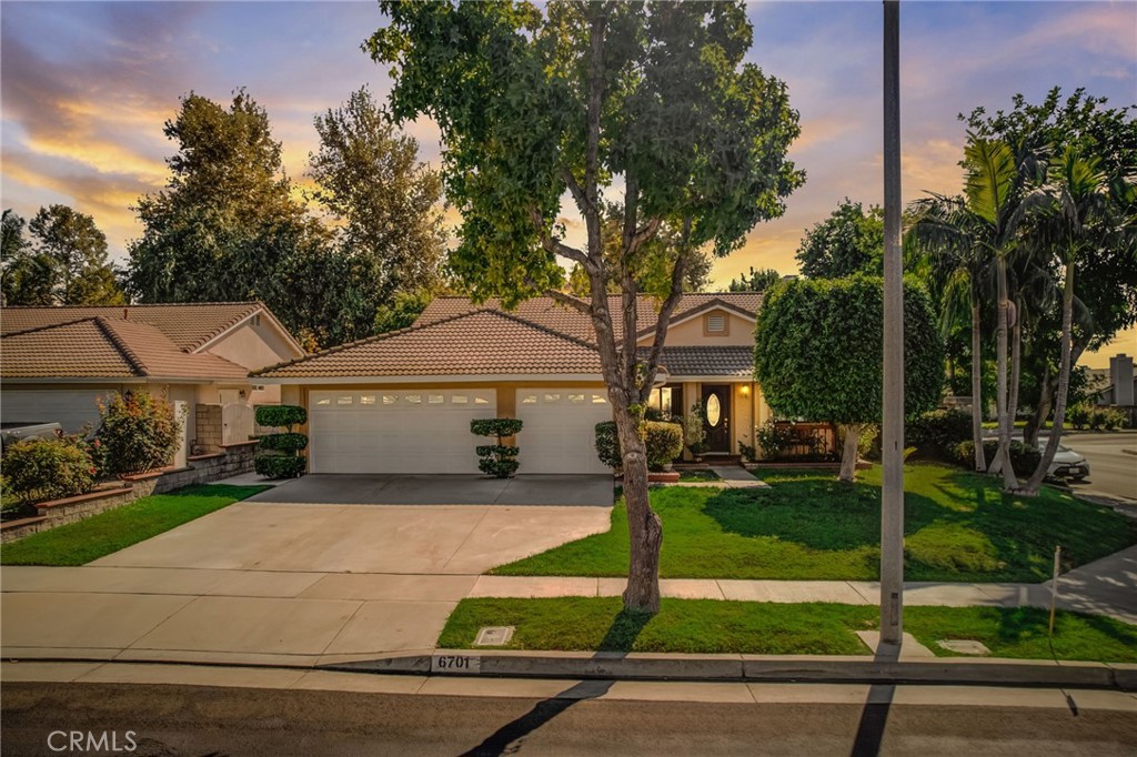 6701 Cardinal Street