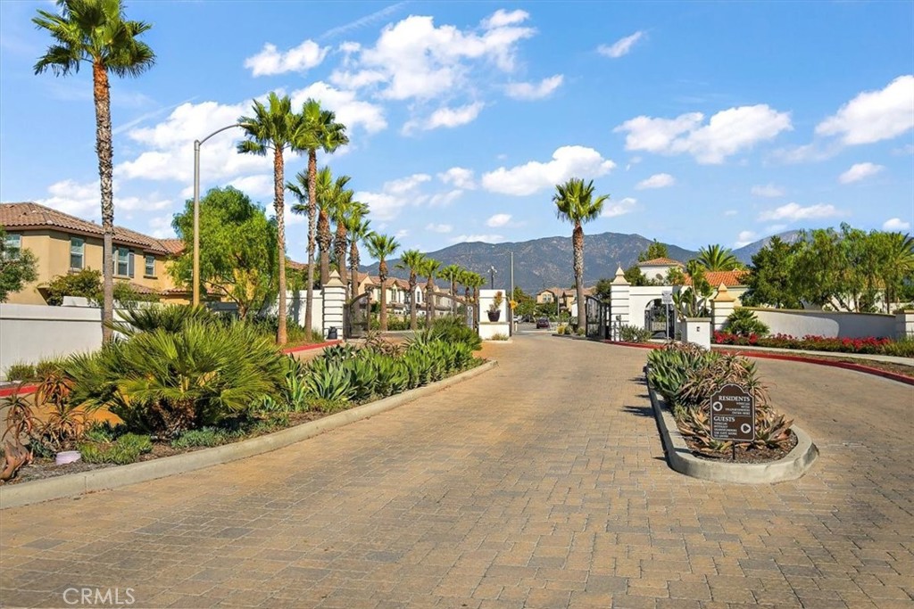 2391 Vineyard Street