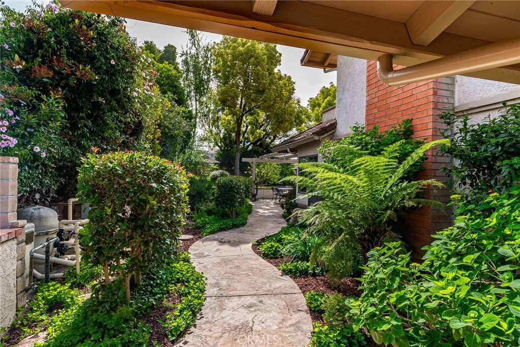 6035 Falling Tree Lane