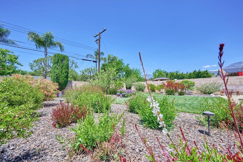 1747 Mulberry Avenue