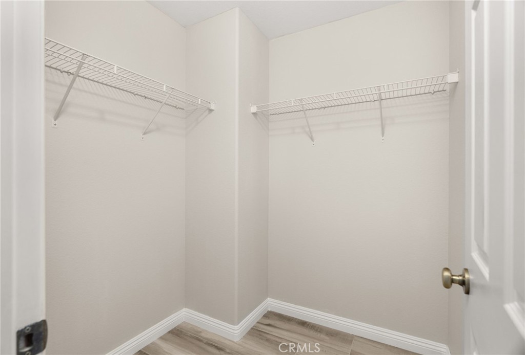 25955 Marco Polo Street