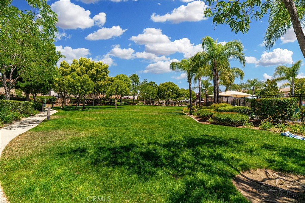 25955 Marco Polo Street