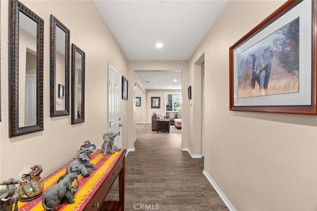 3749 American Elm Road