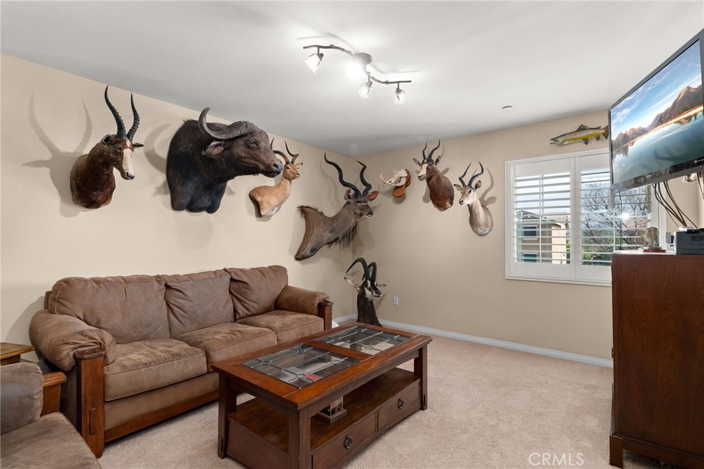 3749 American Elm Road