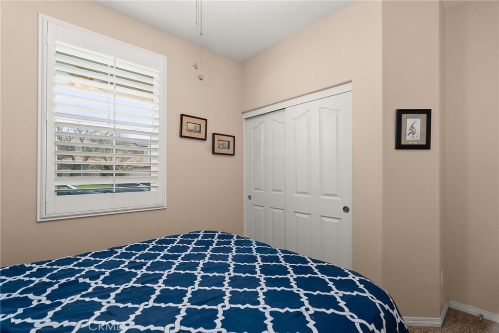 3749 American Elm Road