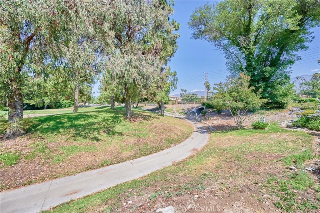 1597 Cypress Point Drive