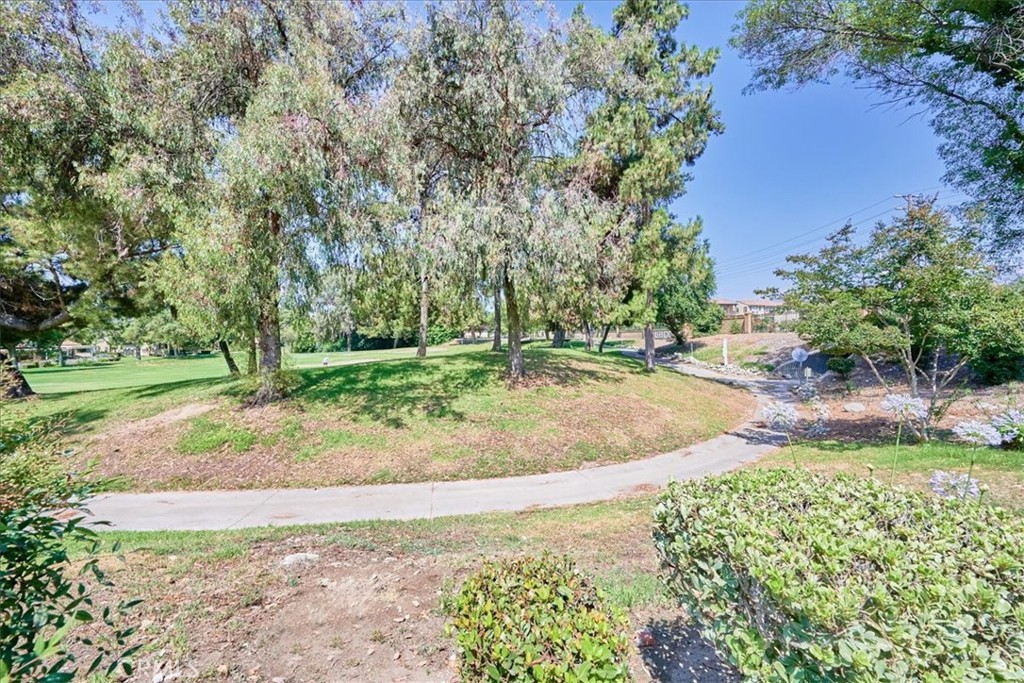 1597 Cypress Point Drive