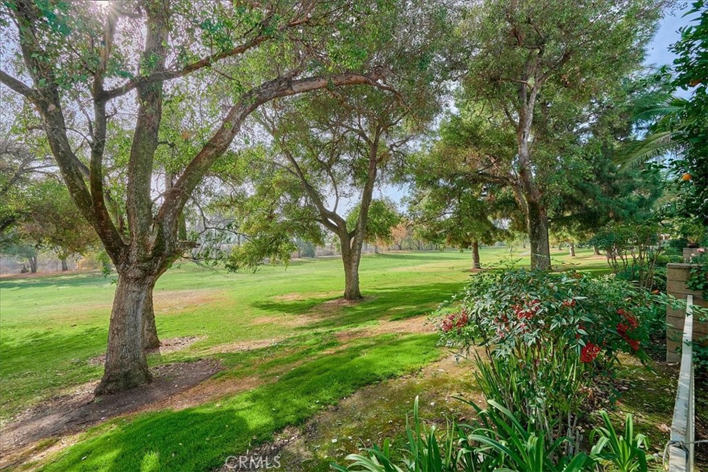 1524 Upland Hills Drive S