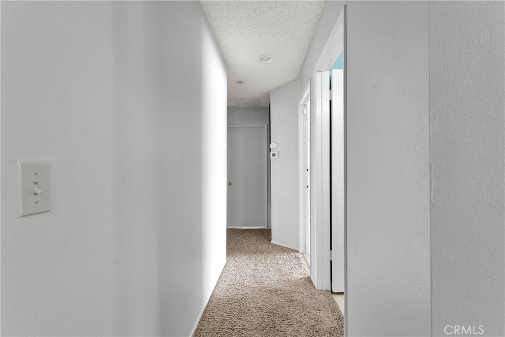 12152 Cobblestone Drive